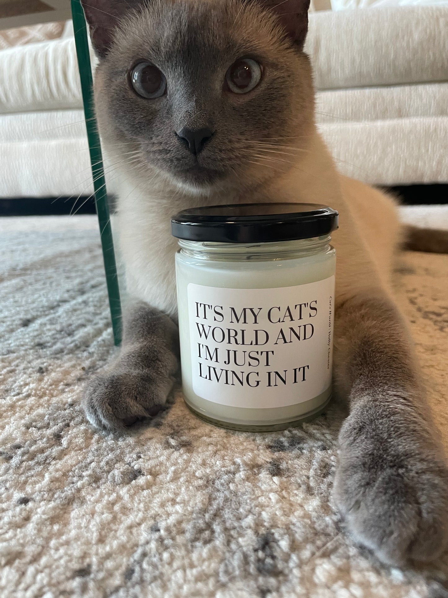 Cat's World Candle
