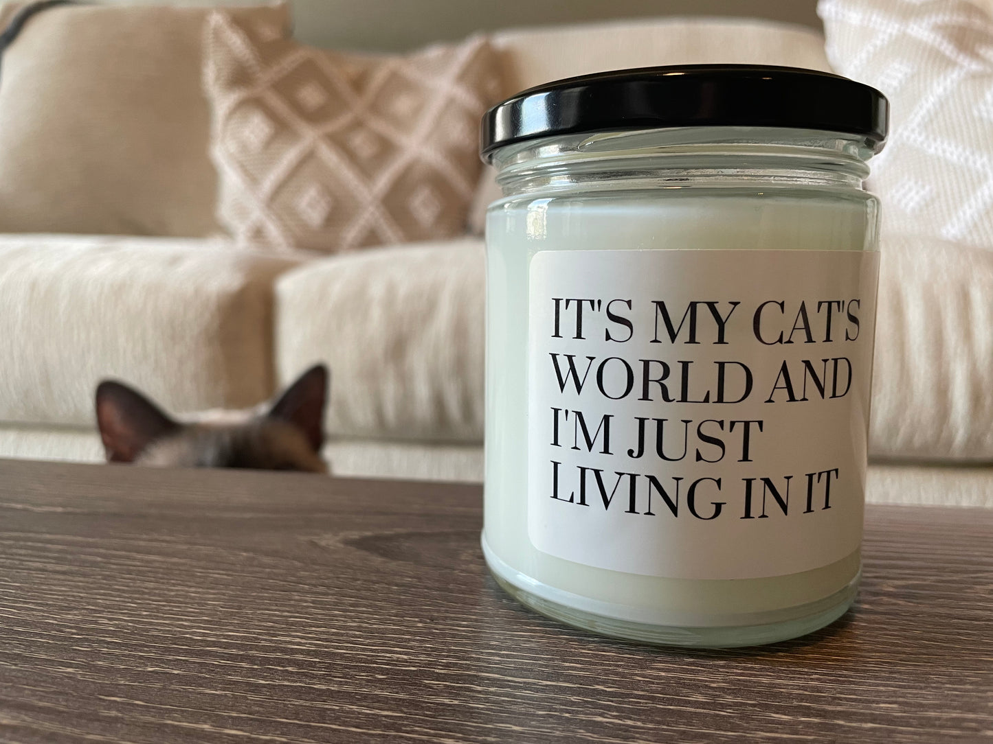 Cat's World Candle